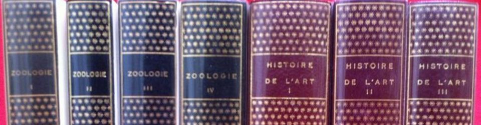 Cover Encyclopédie de la Pléiade