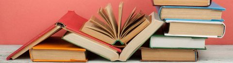 Liste des livres lus en 2024