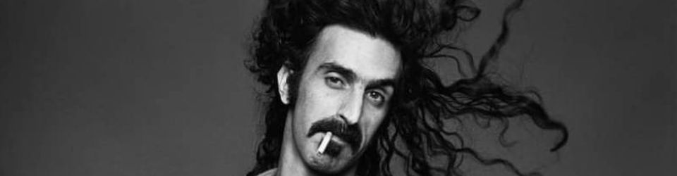 Cover Les meilleurs morceaux de Frank Zappa