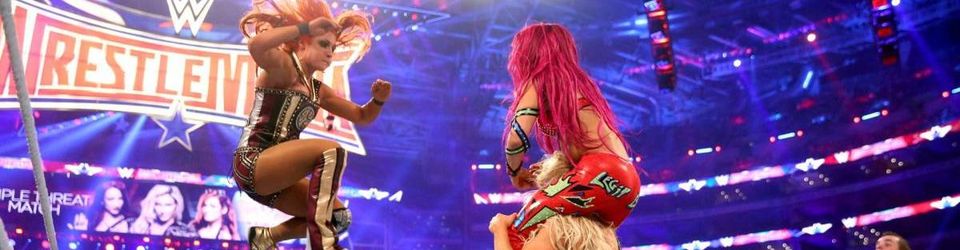Cover WWE 2016