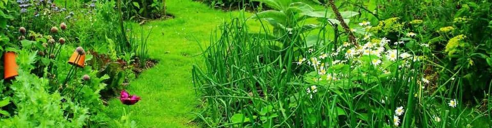 Cover Jardinage (Agroécologie, culture biologique, permaculture, french method, syntropie...)