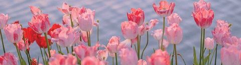 Les meilleurs films de 2022