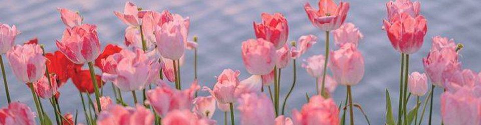 Cover Les meilleurs films de 2022