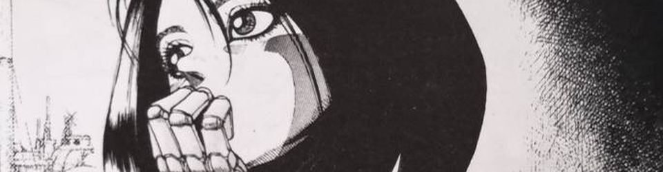 Cover Ma collection de mangas