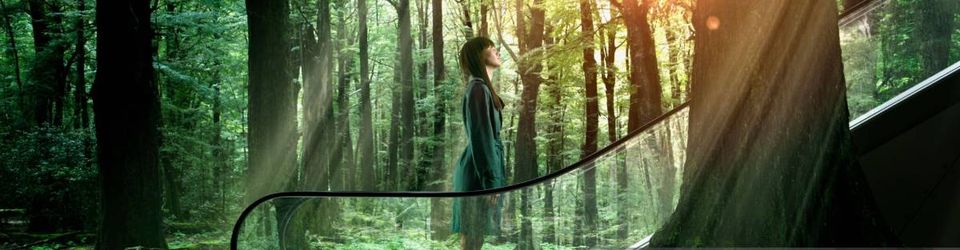 Cover Les plus belles claques esthétiques