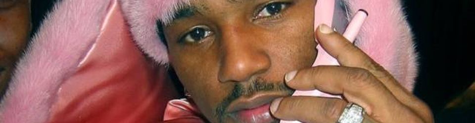 Cover Les meilleurs projets de Cam'Ron