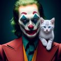 Joker_35