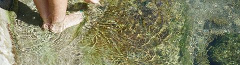 Notre bibliothèque lesbienne