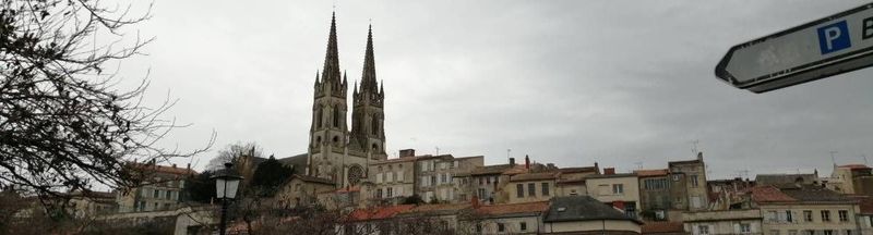 Bannière de Nouille-Orque