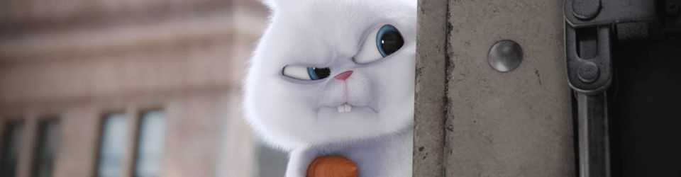 Cover Films à voir avec le Lapin
