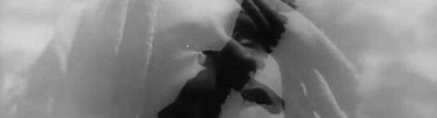 Séances obscures Vol. IV