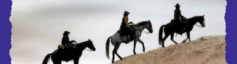 Le Western en roman