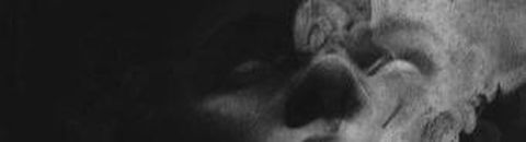 ~ BLACK METAL ~