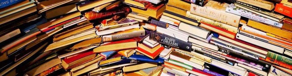 Cover Envies de lecture