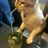 Leonor_Yver