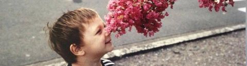 Biographie filmique