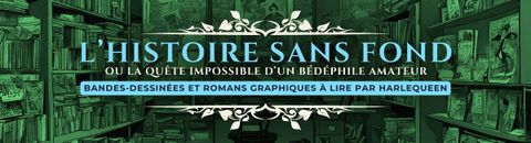 L'histoire sans fond, ou la quête impossible d'un bédéphile amateur : les bandes-dessinées
