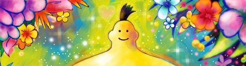 La ludothèque physique des jeux vidéos de shizaya