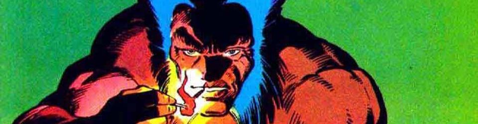 Cover Les meilleures histoires de Wolverine