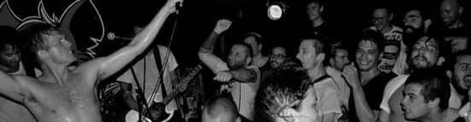 Cover Punk is not dead !