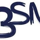 bsnwritingservices1