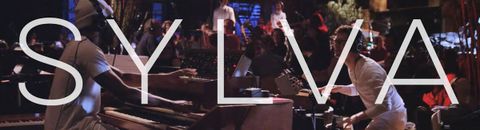 ⏳ Les meilleurs albums de Snarky Puppy