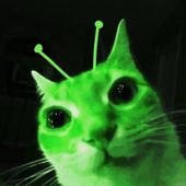 N00dle