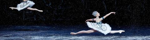 Ballets/spectacles de danse
