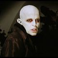 Sycorax