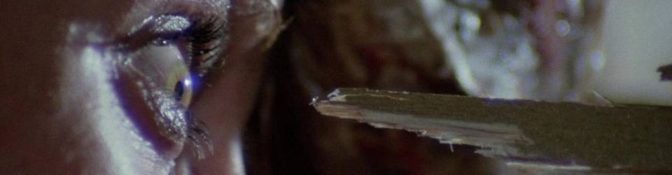 Cover Les meilleurs films d'horreur des années 1970