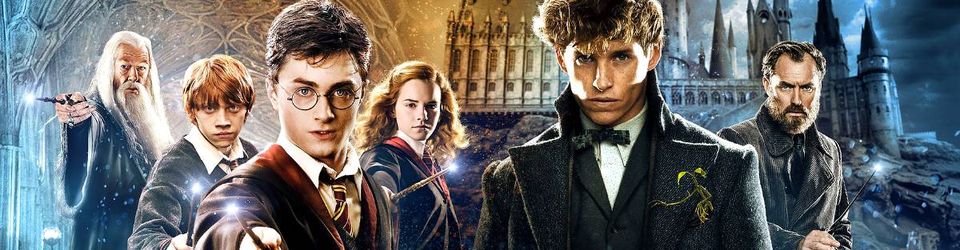 Cover Les meilleurs films de l'univers Harry Potter