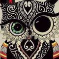 Cycy-imperator