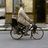 Marc_Kassin