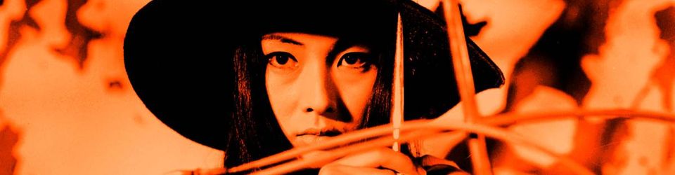 Cover Les meilleurs films avec Meiko Kaji