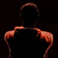 the_red_phoenix