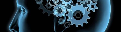 PSYCHOLOGIE - NEUROSCIENCES - DEVELOPPEMENT PERSONNEL