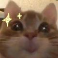 Deimosd