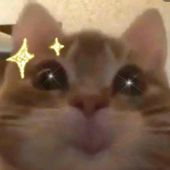 Deimosd