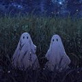 Ghost-In-The-Mirror