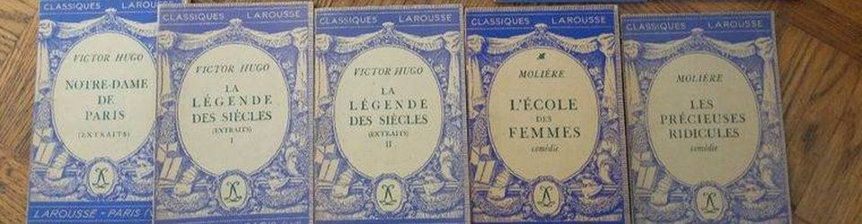 Cover Les meilleurs classiques de la littérature française