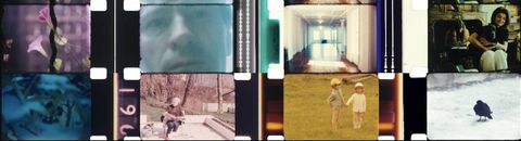 Les meilleurs documentaires