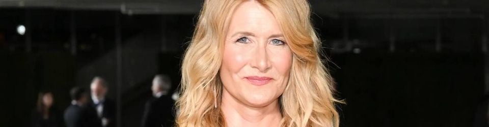 Cover Les meilleurs films avec Laura Dern