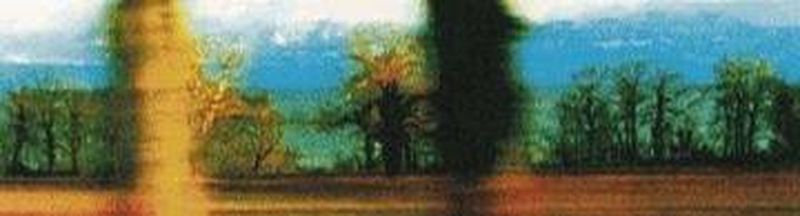 Bannière de Claroro