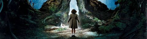 Contes de cinéma | Traditions littéraires et images cathartiques