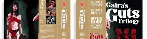 Coffret Blu-Ray Gaira Guts Trilogy