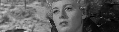 Les meilleures séries avec Shelley Winters