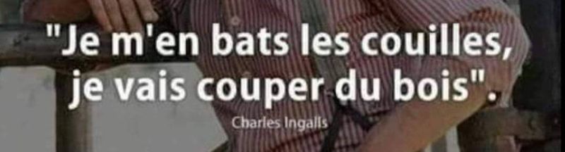 Bannière de Vida3106
