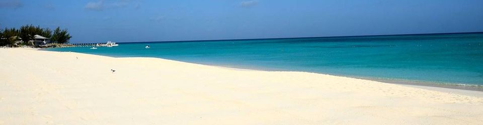 Cover Les meilleurs livres pour la plage