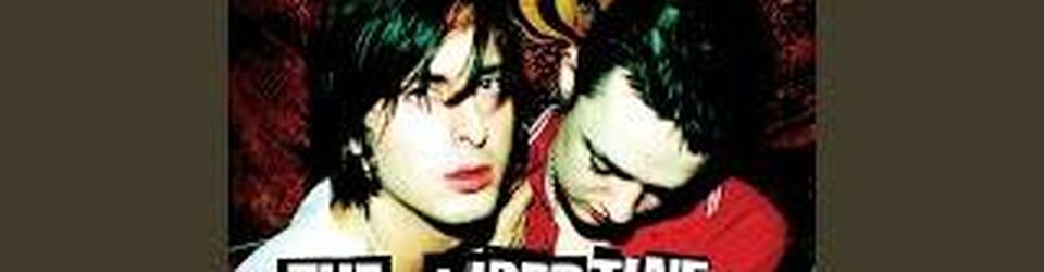 Cover Les meilleures chansons des Libertines