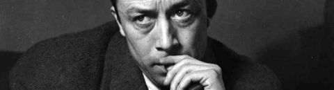 Les meilleurs livres d'Albert Camus